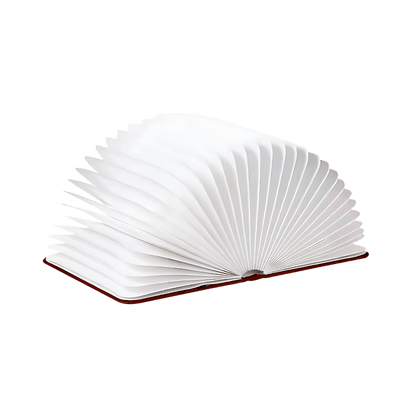 Pagelume Foldable Table Lamp | 360 Degree Rechargeable Book Light For Desks, Beds and Travel