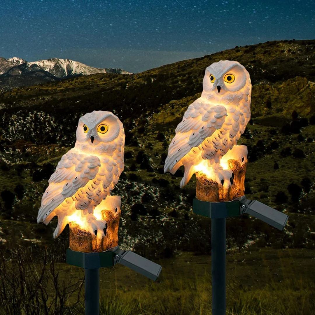 Solar Owl Garden Stake Light | Decorative Outdoor Pathway Lamp For Borders and Flower Beds