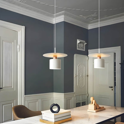 Modern Minimalist Pendant Light | Ceiling Lamp In Black or White, In 20 or 30 Centimetre Sizes
