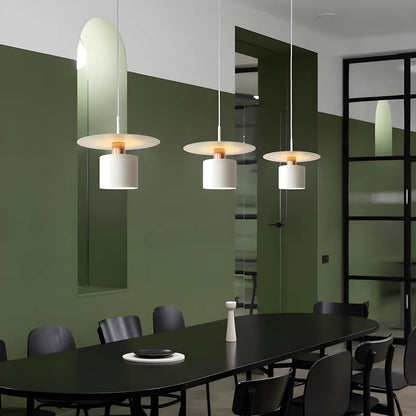 Modern Minimalist Pendant Light | Ceiling Lamp In Black or White, In 20 or 30 Centimetre Sizes