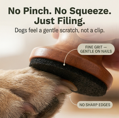 Pawlish Silent Dog Nail File | Low Noise Grooming Tool With 3 Sanding Pads For Calm Nail Care