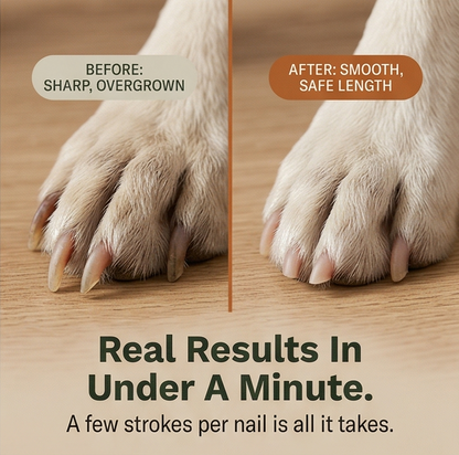 Pawlish Silent Dog Nail File | Low Noise Grooming Tool With 3 Sanding Pads For Calm Nail Care